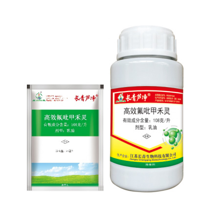 長(zhǎng)青蘆凈?